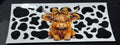 Highland Cow 2