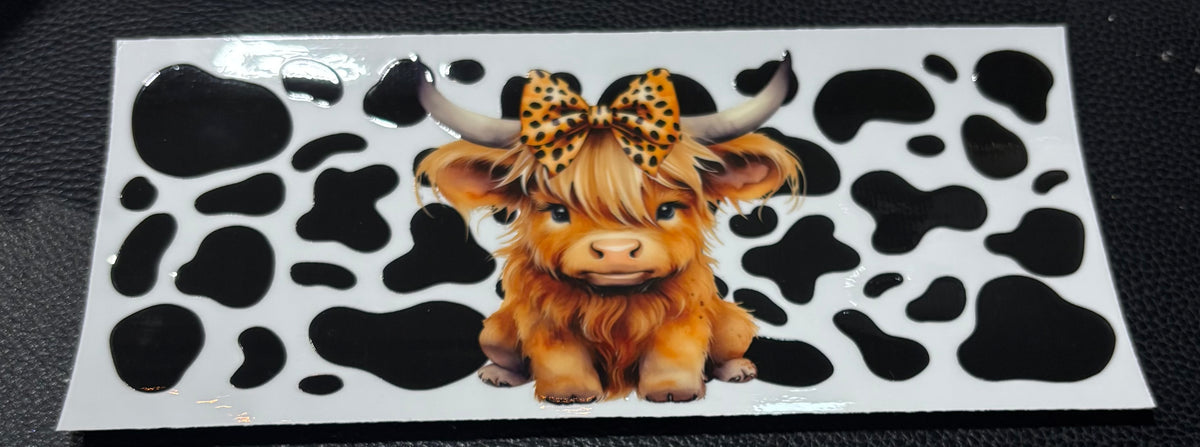 Highland Cow 2