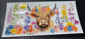 Highland Cow 1