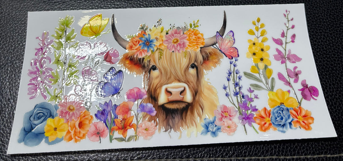 Highland Cow 1