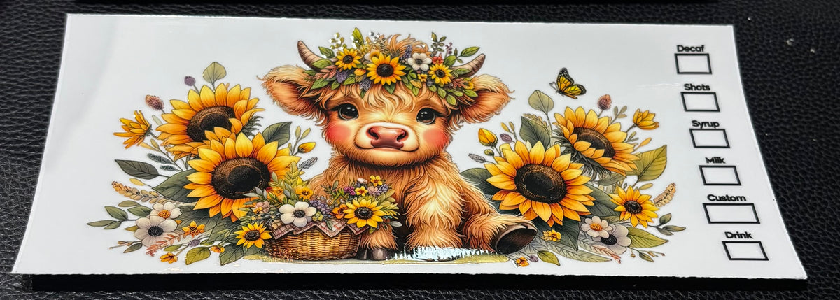 Highland Cow 4
