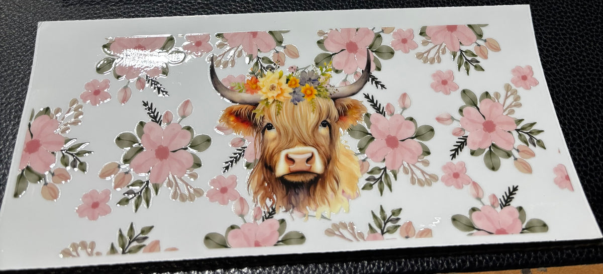 Highland Cow 5