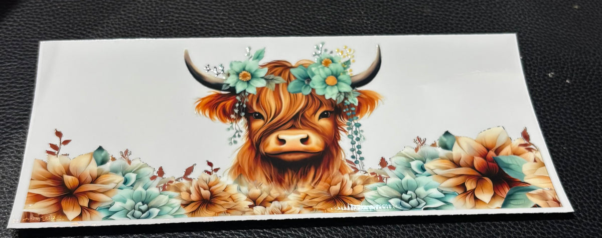 Highland Cow 8