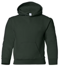 Youth Hoodie